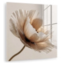 Bloem - Beige - Crème plexiglas 5mm klein -zzzproduct_nieuw