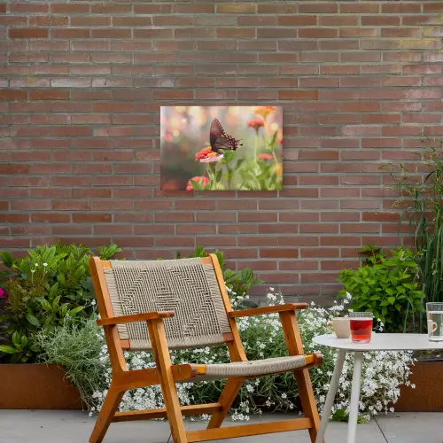 Vlinder op zomerbloem Tuinposter op houten frame 2 cm dik klein -sfeer3