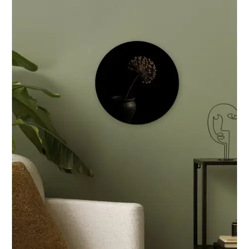 Bol - Gedroogd - Vaas - Zwart Wandcirkel kunststof plaat 5mm dik klein -sfeer3