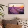 Lavendel - Zonsondergang - Bloemen - Paars canvas 2cm klein -sfeer1