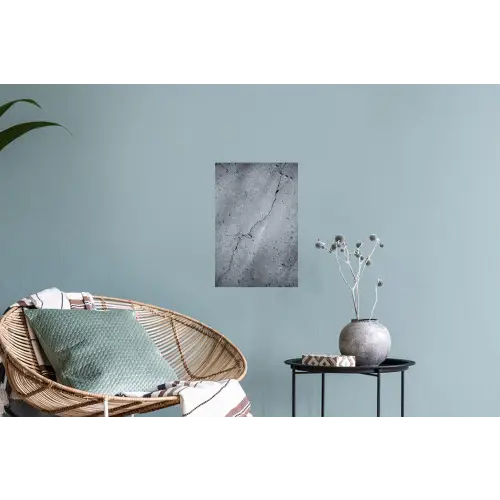 Beton - Grijs - Scheur Muursticker klein -plant
