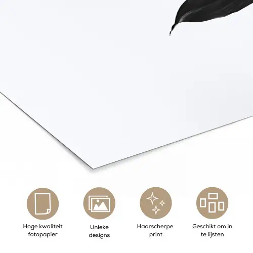 Plant - Bladeren - Minimalistisch - Zwart poster papier klein -closeup_NL