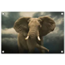 Afrikaanse olifant tegen de donkere wolken tuinposter los doek klein -3d