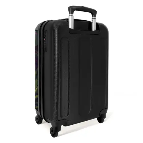 Fernando flamingo Koffer - NBS - Handbagage middel -achterkant