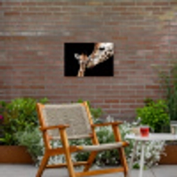 Giraffe - Dieren - Zwart - Portret - Dieren Tuinposter op houten frame 2 cm dik klein -sfeer3