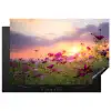 Cosmos bij Zonsondergang Inductie beschermer vinyl 3mm klein -3d