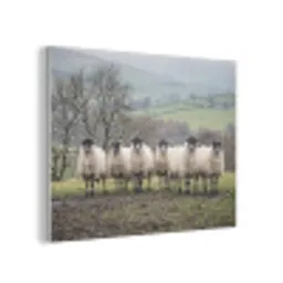 Schapen - Rij - Weide - Dieren - Platteland PET vilt klein -3d