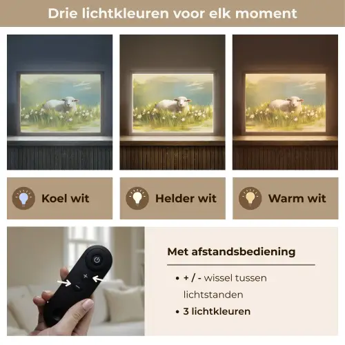 Schaap - Weide - Groen Light Box met batterij (Wandlamp) middel -USP_lichtkleurNL