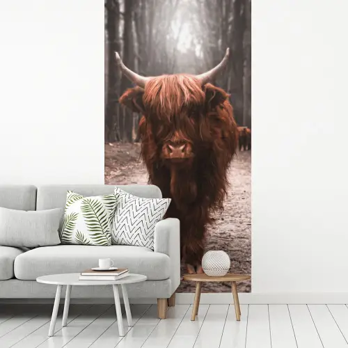 Schotse hooglander - Bos - Koe - Dieren - Natuur fotobehang vinyl groot -woonkamer