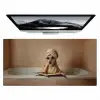 Bad - Hond - Boek - Zonnebril Muismat XXL klein -zzz3d