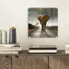 Olifant - Weg - Dieren - Zonsondergang - Landschap plexiglas 5mm klein -sfeer1