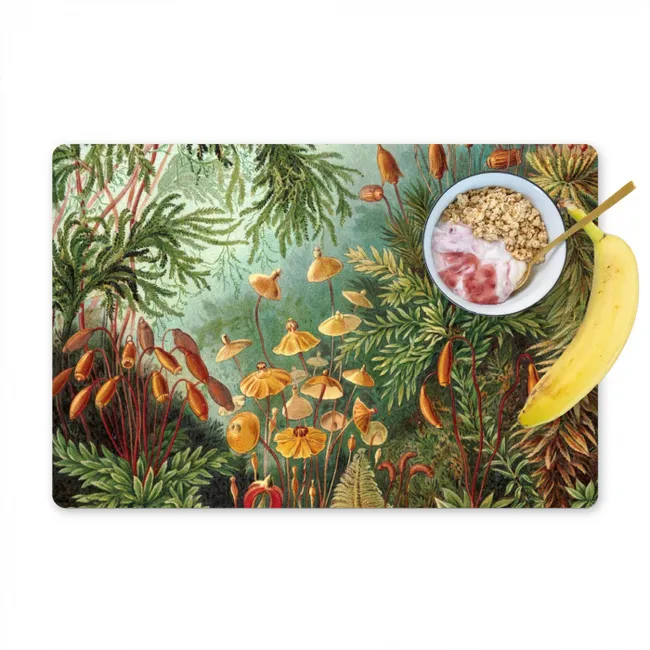 De Muscinae Placemat vinyl groot -zzzproduct_Kitchenyeah-website