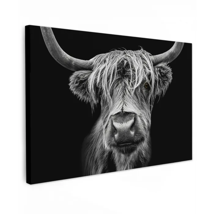 Schotse Hooglander - Horens - Zwart - Wit - Koe - Wild - Dieren canvas 2cm klein -z3d