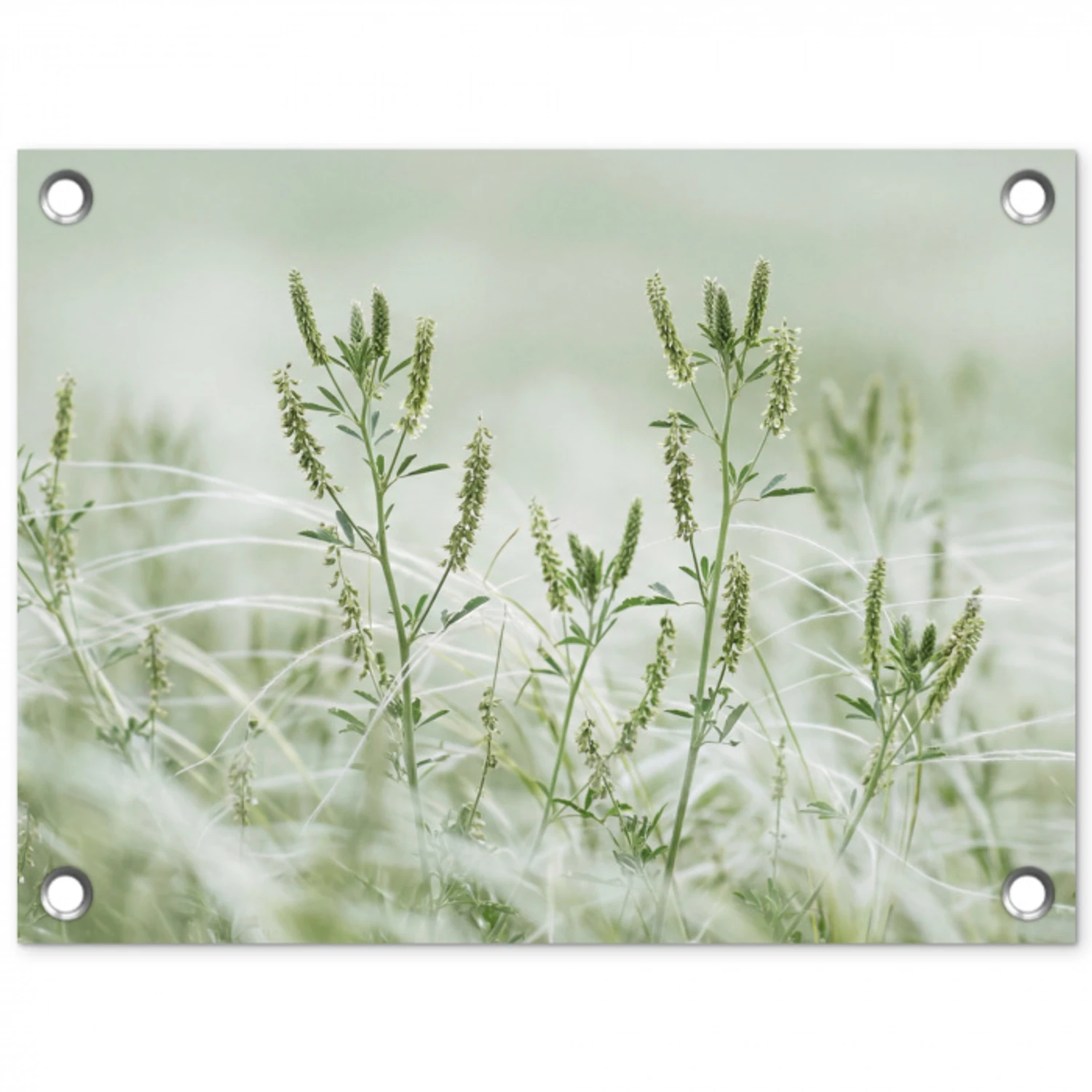 Grassen - Minimalistisch - Groen tuinposter los doek klein -3d