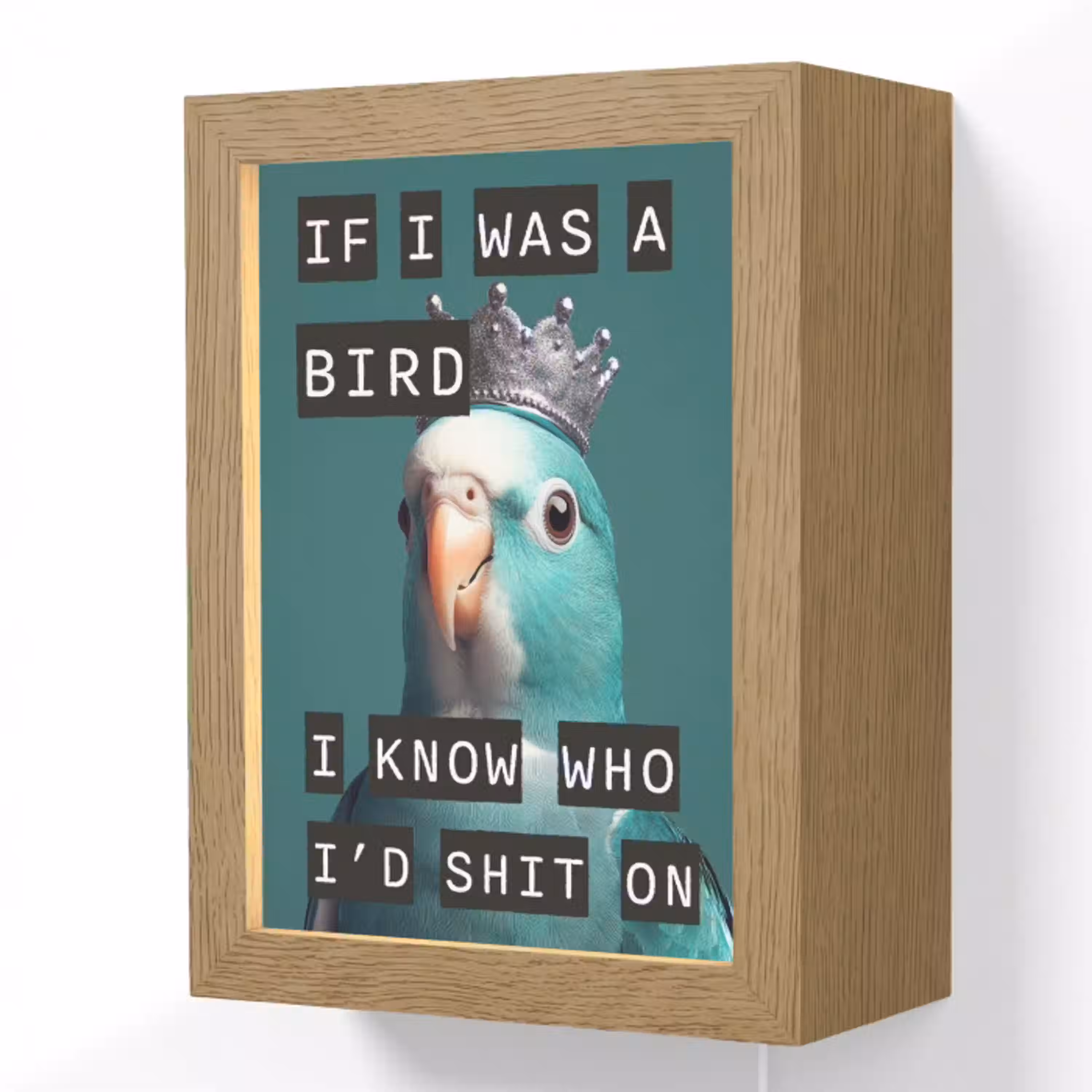 Parkiet - Turquoise - Quotes - Decoratie Light Box met kabel (Wandlamp) klein -3d