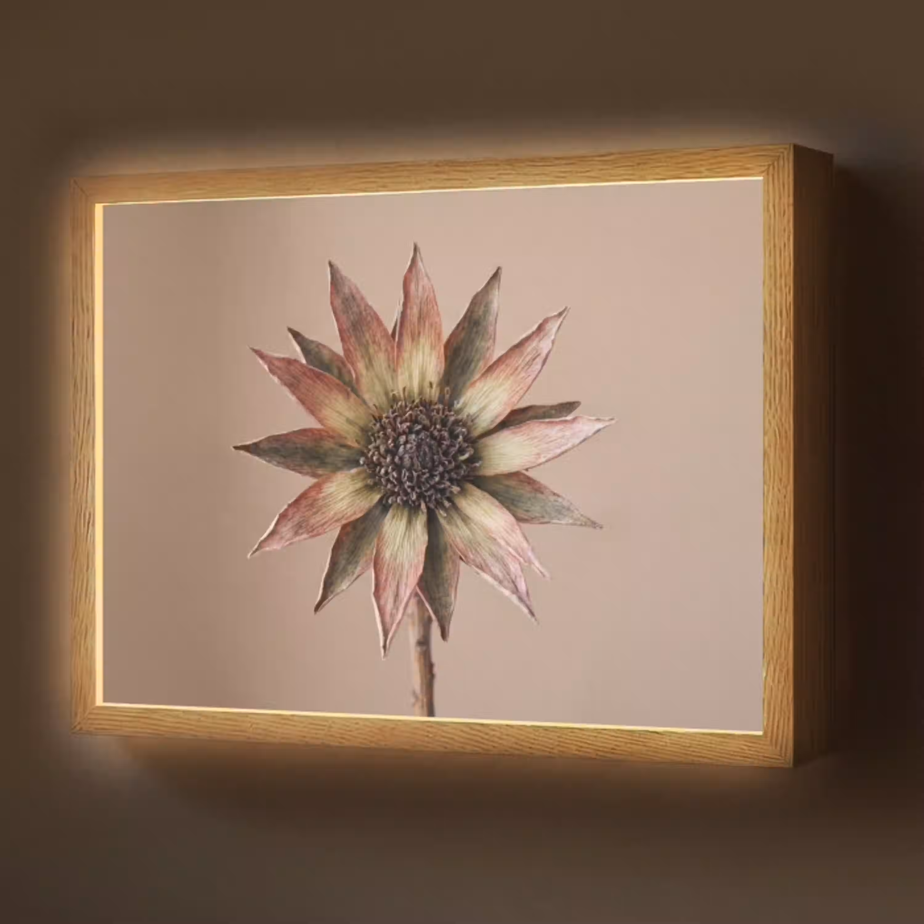 Droogbloem - Protea - Vintage - Beige - Rustiek Light Box met batterij (Wandlamp) middel -z3d_website