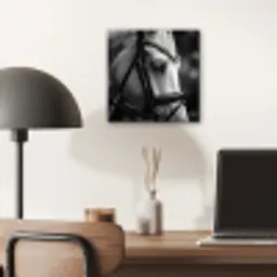 Paard - Schimmel - Portret aluminium wit klein -sfeer5