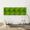 Groen - Zwart - Zebra canvas 2cm klein 828 -sfeer6