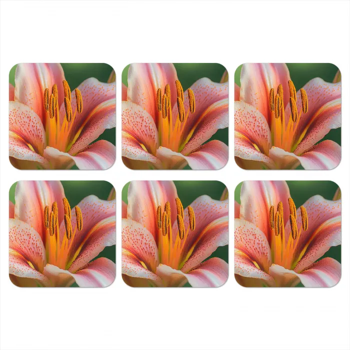 Lelie - Close up - Lichtroze onderzetter kurk middel -3d