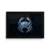 Krab - Delfts blauw - Dieren fotolijst zwart zonder passe partout klein -3d