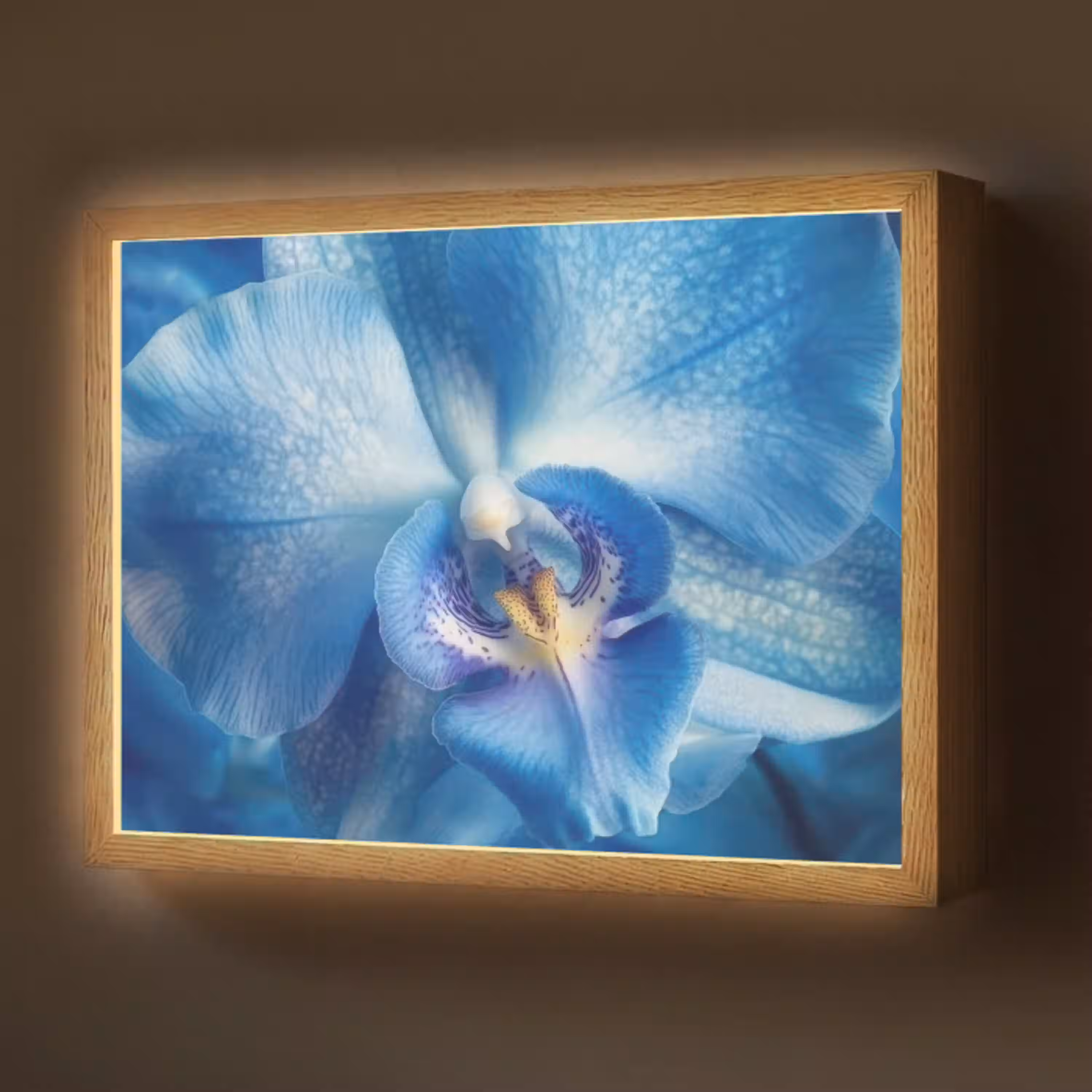 Blauw - Orchidee - Elegeant Light Box met batterij (Wandlamp) middel -z3d_website