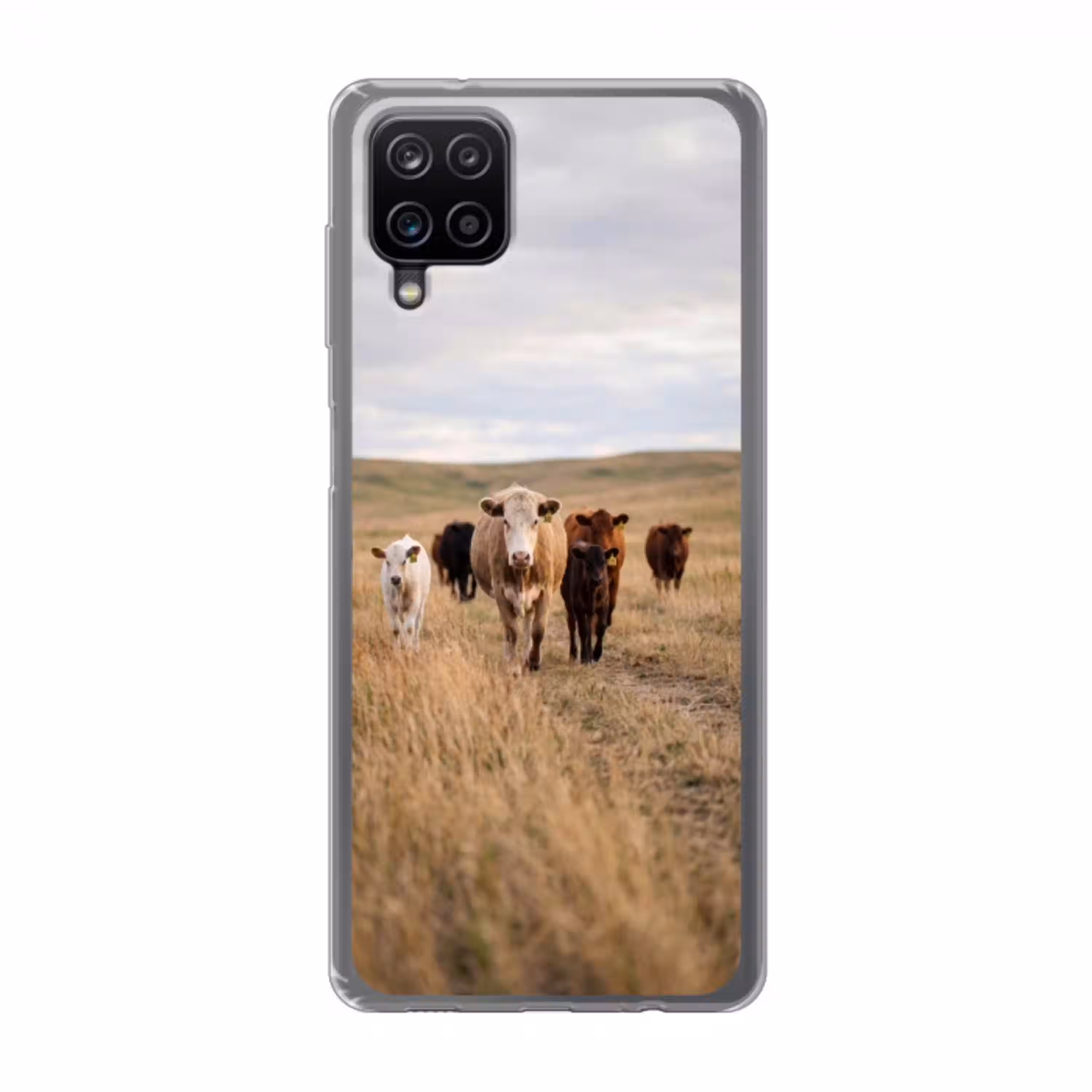 Runderen - Kudde - Landschap - Weide - Rustig Telefoonhoesje Samsung Galaxy A12 klein -3d