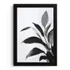 Plant - Bladeren - Minimalistisch - Zwart fotolijst zwart zonder passe partout klein -3d