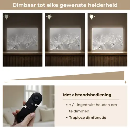 Paardenbloem - Waterdruppels - Stilleven - Modern Light Box met batterij (Wandlamp) middel -USP_dimbaarNL
