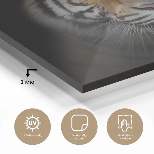 Tijger - Wilde dieren - Portret - Zwart - Dieren plexiglas 5mm klein -sfeer2