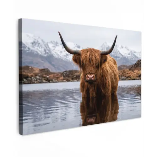 Schotse hooglander - Bruin - Water Tuinposter op houten frame 2 cm dik klein -3d
