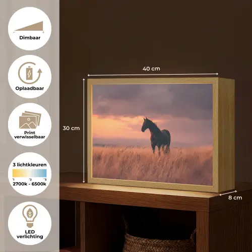 Paard - Wolken - Open veld Light Box met batterij (Wandlamp) middel -USP_websiteoverzichtNL