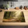 Zonlicht - Bospad - Bomen Inductie beschermer vinyl 3mm klein -sfeer5