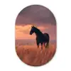 Paard - Wolken - Open veld Wandcirkel Ovaal Forex klein -3d