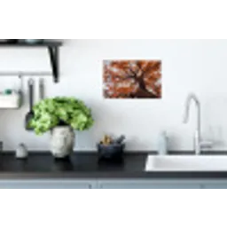 Boom - Bladerdak - Herfst - Oranje - Sfeervol Muursticker klein -keuken