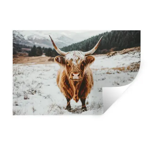 Schotse Hooglander - Sneeuw - Winter - Dieren Muursticker klein -3d