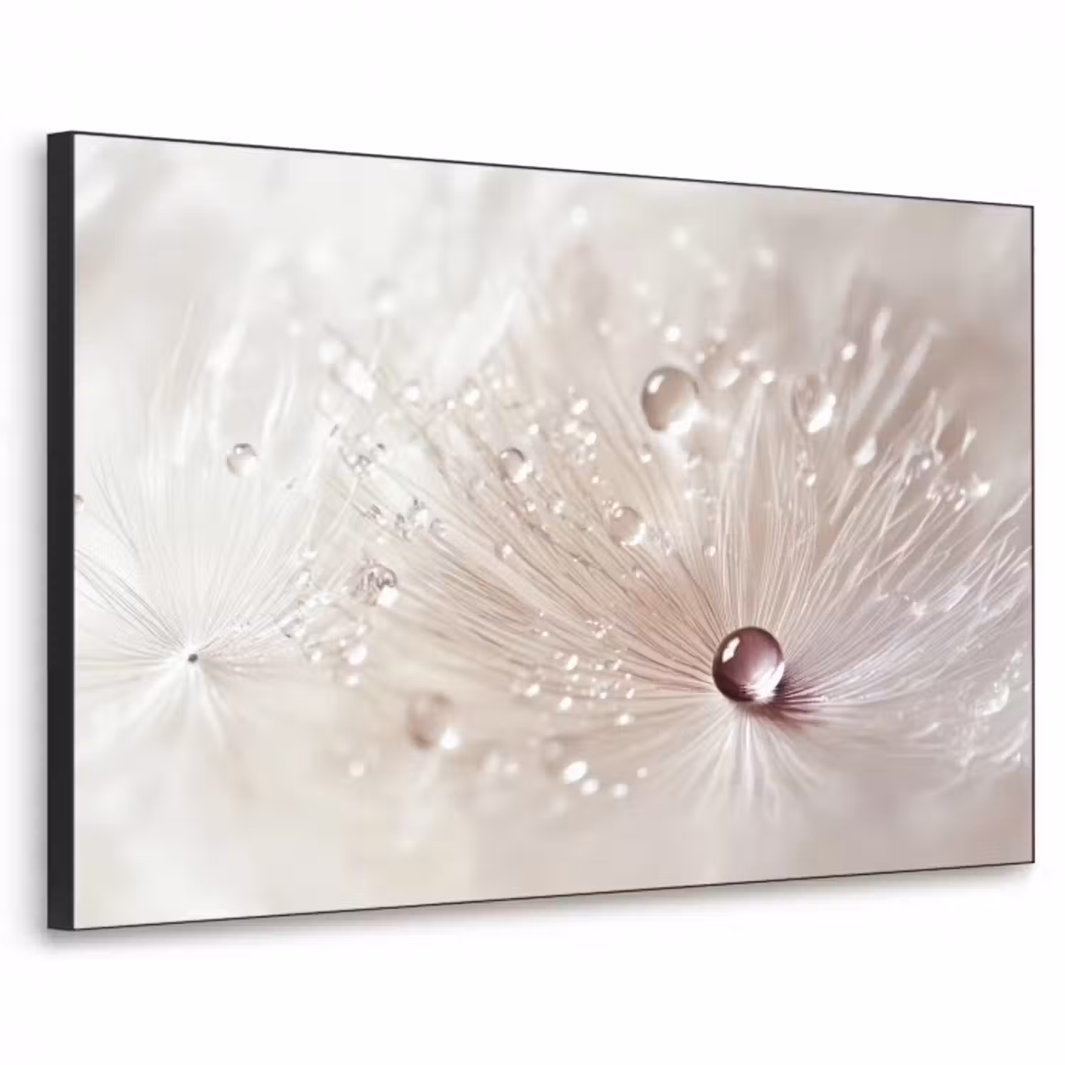 Art Frame - Blume - Abstrakt - Weiß - Wasser - Natur