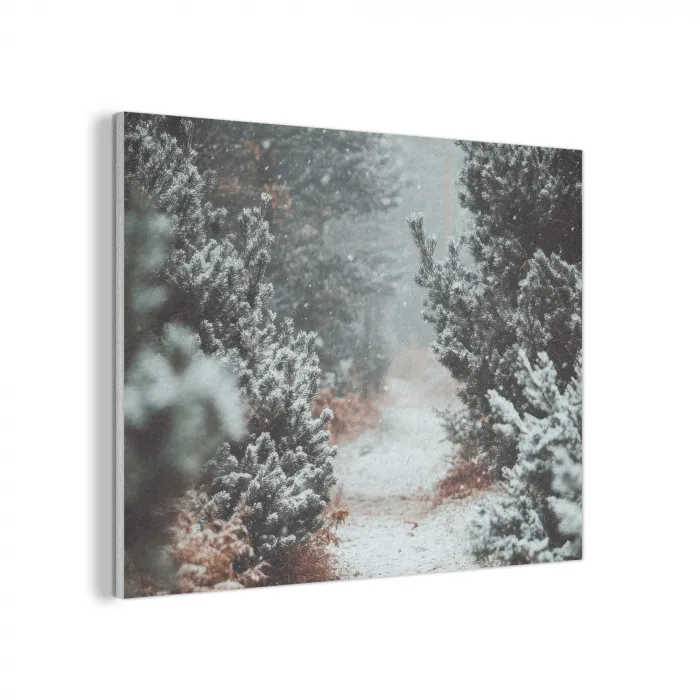 Bos - Winter - Bomen - Natuur - Pad - Sneeuw PET vilt klein -3d