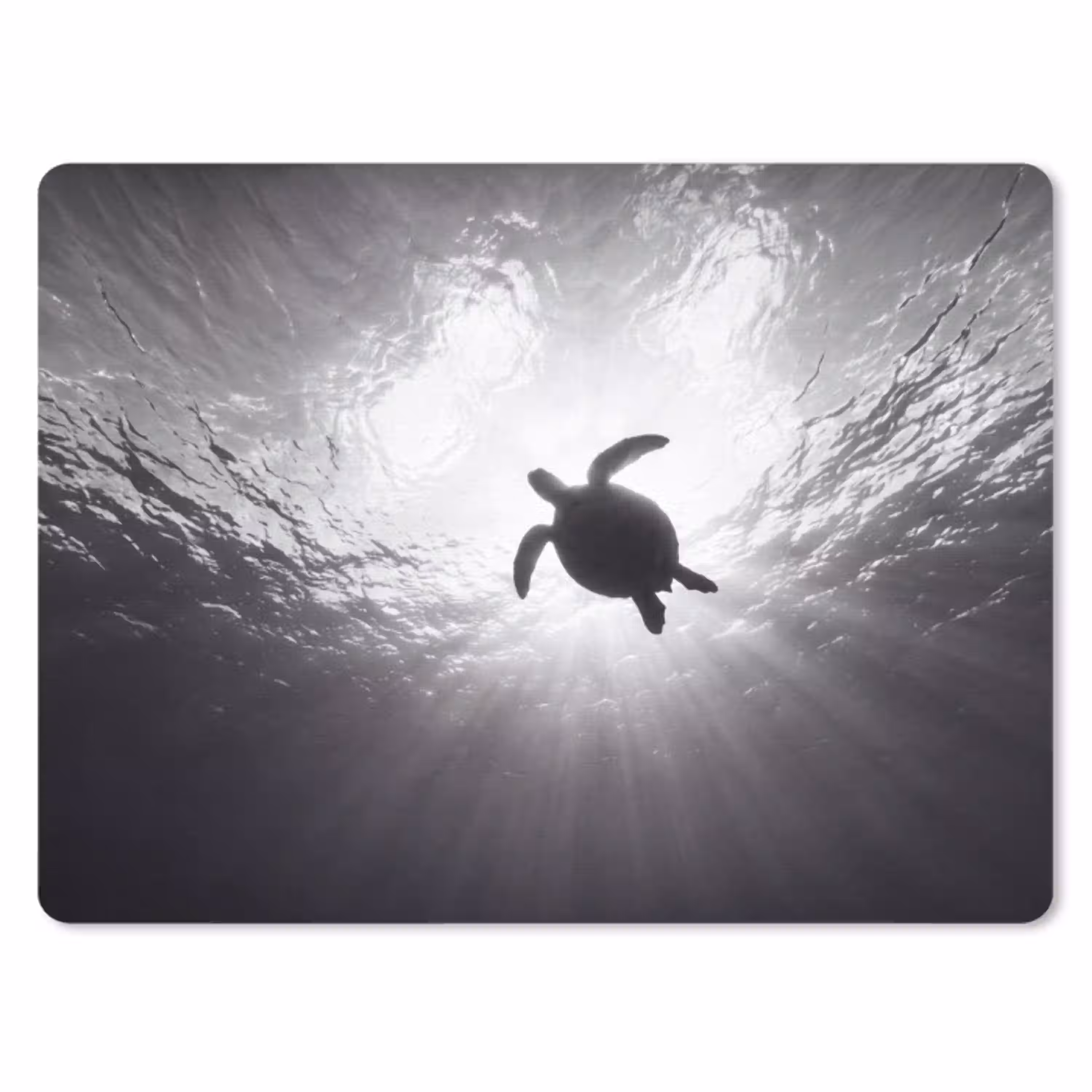 Schildpad - Onderwater - Lichtstralen - Oceaan - Zwart-wit muismat rubber klein -3d