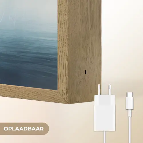 Meeuw - Wit - Zee - Mistig Light Box met batterij (Wandlamp) middel -USP_websiteoplaadbaarNL
