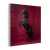 Hengst - Steigert - Rood plexiglas 5mm klein -z3d