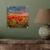 Zonsondergang - Klaprozen - Rood - Bloemen - Veld - Natuur plexiglas 5mm klein -sfeer3