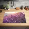 Lavendel - Paars - Zonlicht Inductie beschermer vinyl 3mm klein -sfeer5