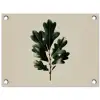Eikenbladeren - Beige - Groen - Golvende randen tuinposter los doek klein -3d