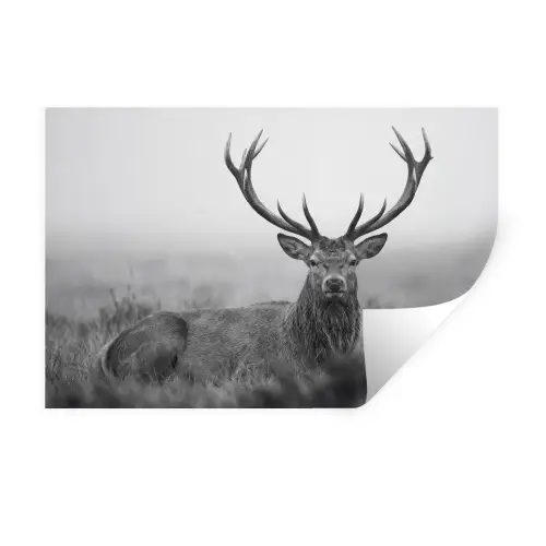 Hert - Mistig - Zwart - Wit Muursticker klein -3d