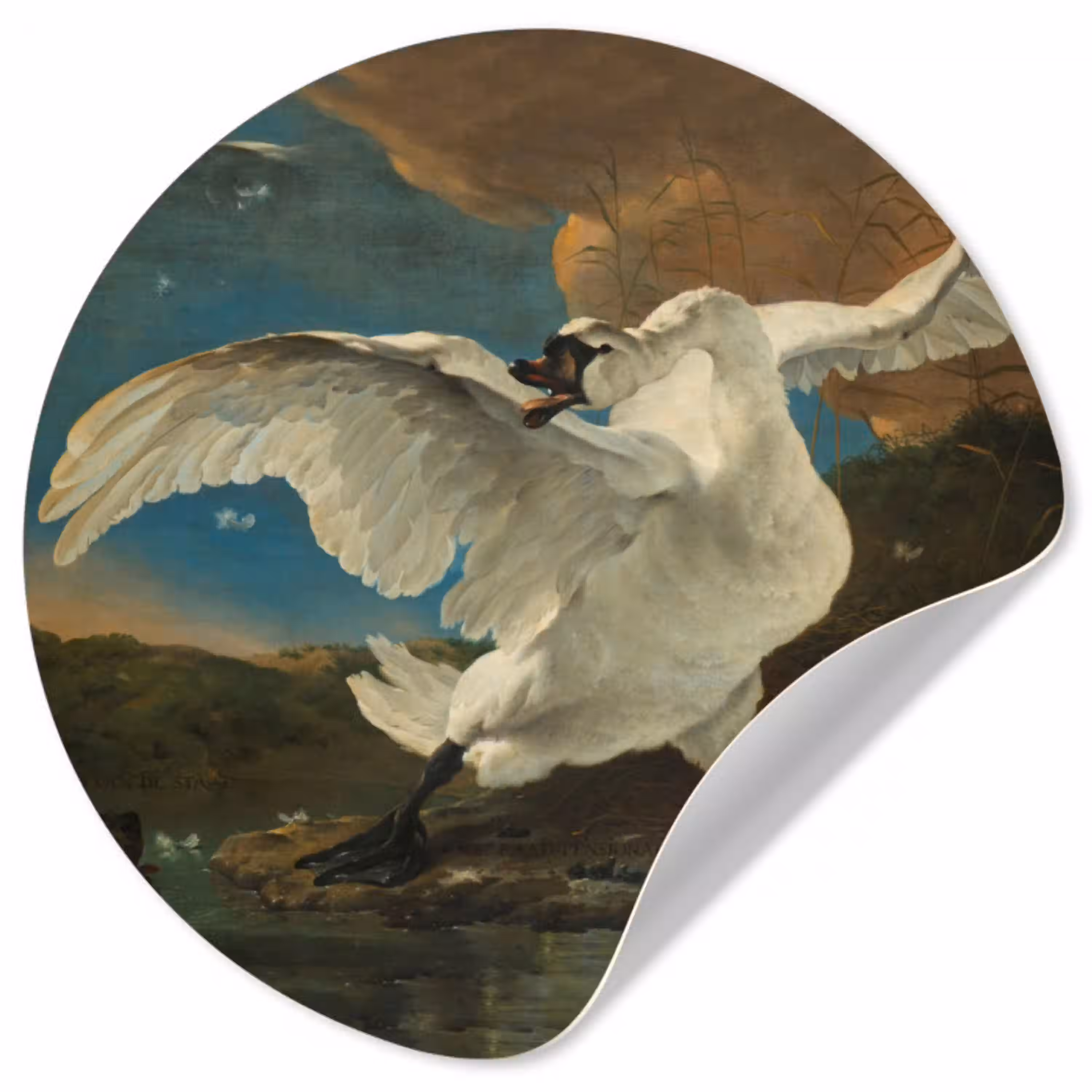 De bedreigde zwaan - Schilderij van Jan Asselijn Wandcirkel behangsticker klein -3d