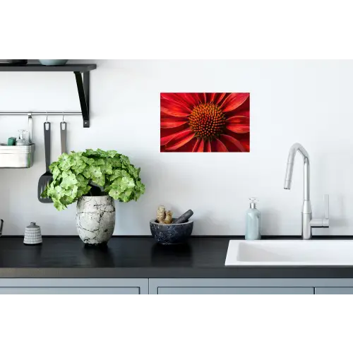Close up - Bloem- Rood Muursticker klein -keuken