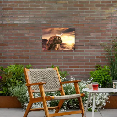 Schotse hooglander - Zon - Horizon - Koe - Dieren Tuinposter op houten frame 2 cm dik klein -sfeer3
