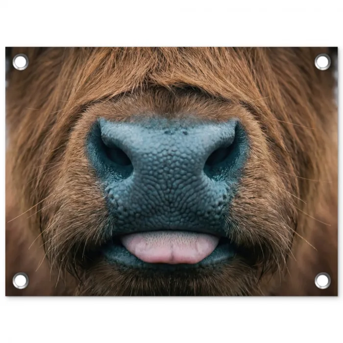 Schotse hooglander - Neus - Bruin tuinposter los doek klein -3d