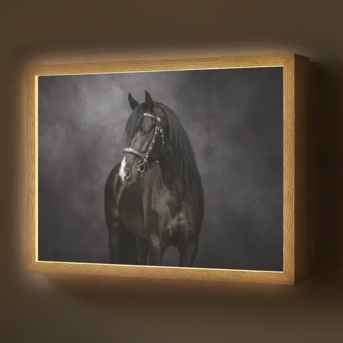 Portret - Paard - Zwart Light Box met batterij (Wandlamp) middel -z3d_website