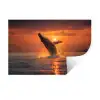 Walvis - Zon - Zee Muursticker klein -3d